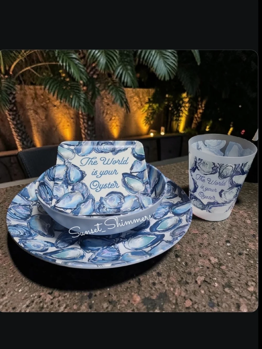 16pc Sigrid Olsen Melamine Oyster Dinner Pack ~ Plates Bowls Tumbler Cups New